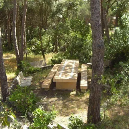 La Pineta