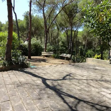 La Pineta Villa Narbolia