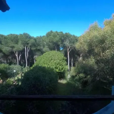 La Pineta