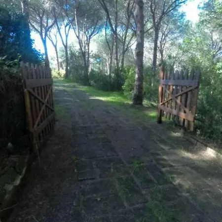 La Pineta